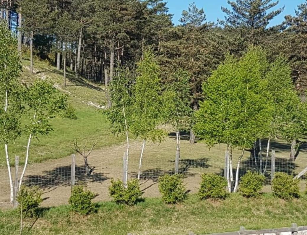 Hotel Domaine De L'Auspeliere Greolieres Zewnętrze zdjęcie