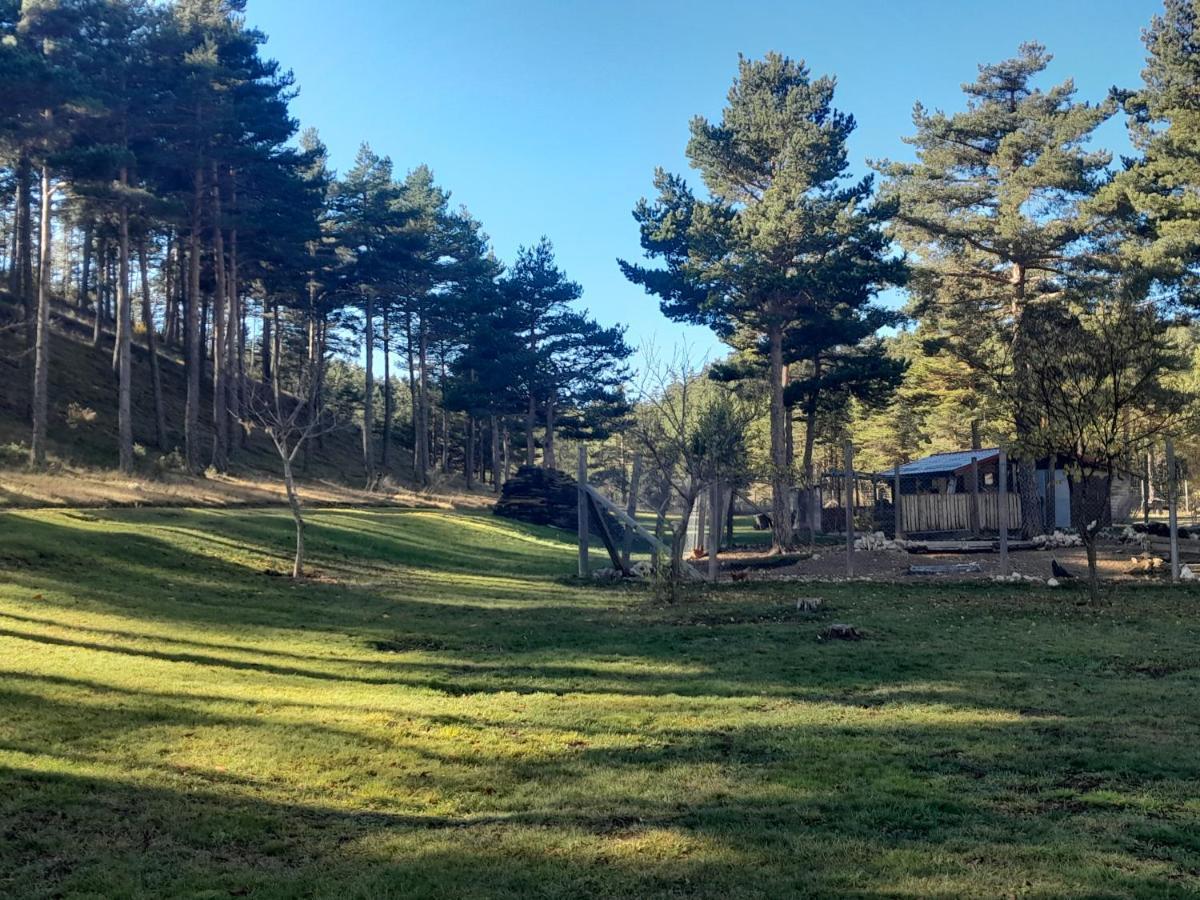 Hotel Domaine De L'Auspeliere Greolieres Zewnętrze zdjęcie